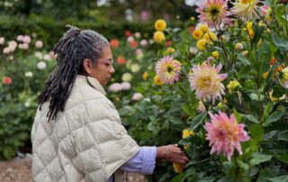 Kvinde med grå dreadlocks rører ved en dahlia i haven — selvpleje mellem kropsterapi-behandlinger i Højbjerg